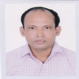 মোঃ ইব্রাহীম আলী 